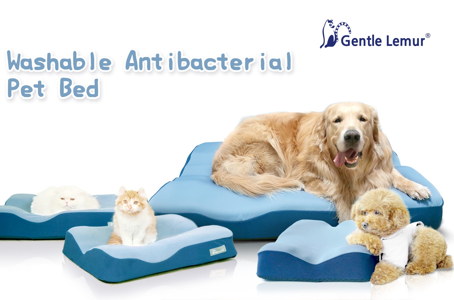 Gentle Lemur Pet Bed Antibiotic Waterproof Indiegogo