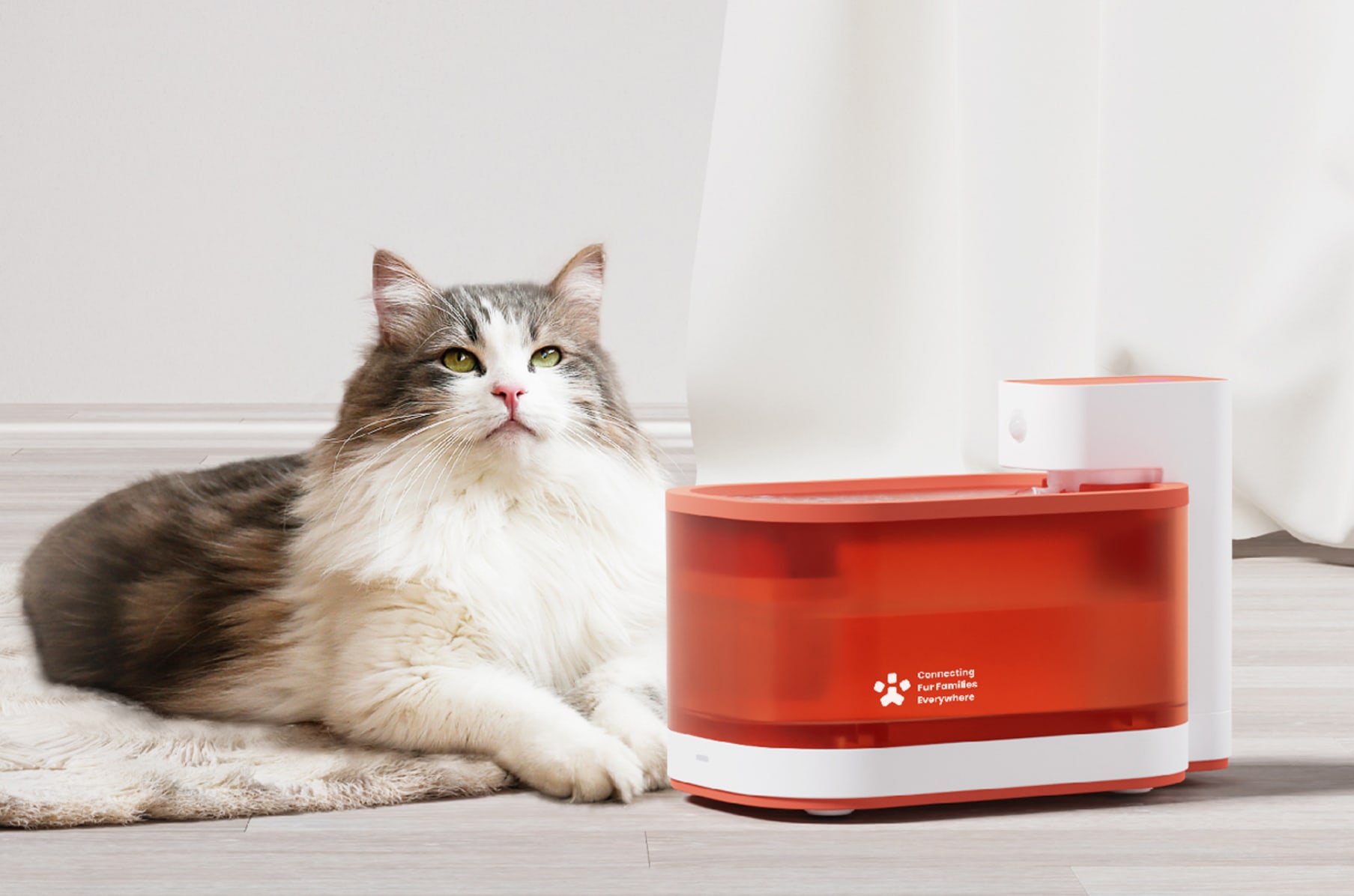 Best rated pet water fountain online