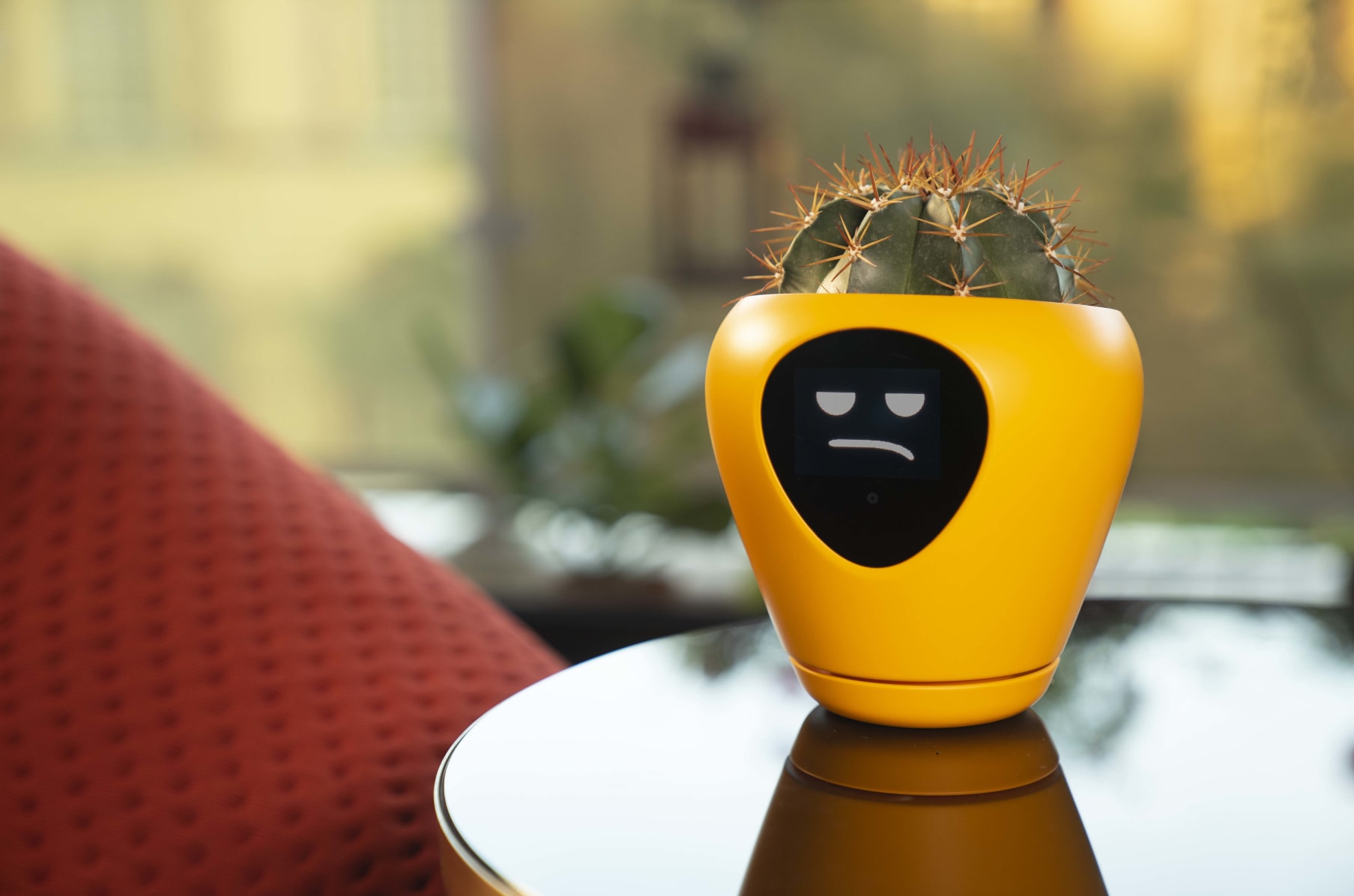 Lua, the planter with feelings! Indiegogo