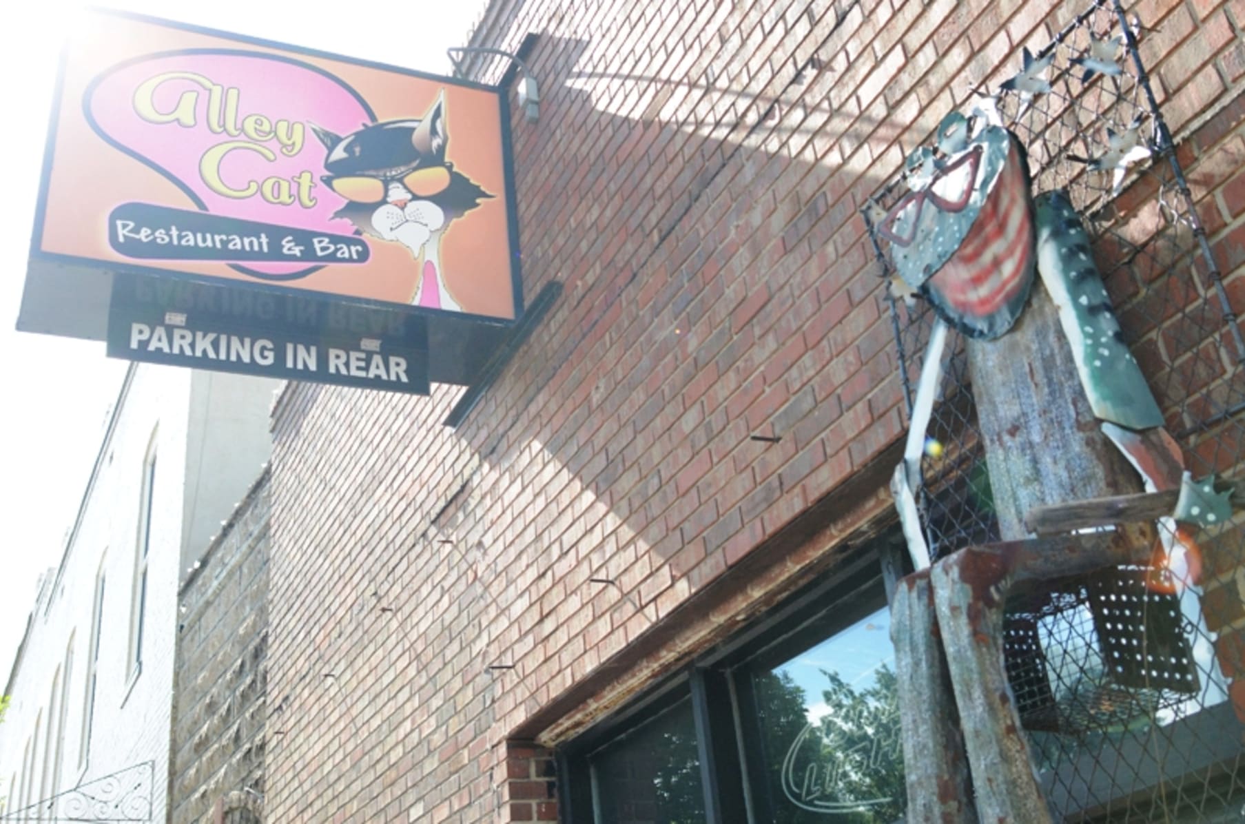 Save The Alley Cat Keep Carrollton Weird Indiegogo