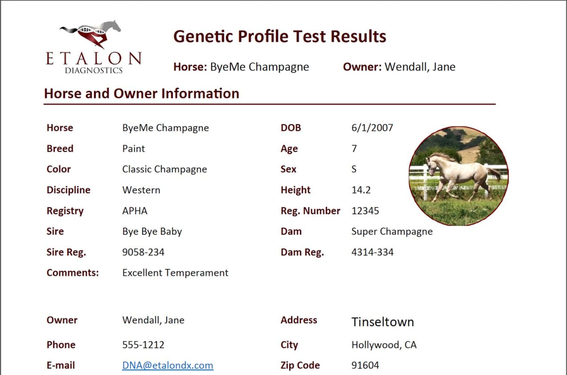 Horse Health & Performance DNA Testing by Etalon | Indiegogo