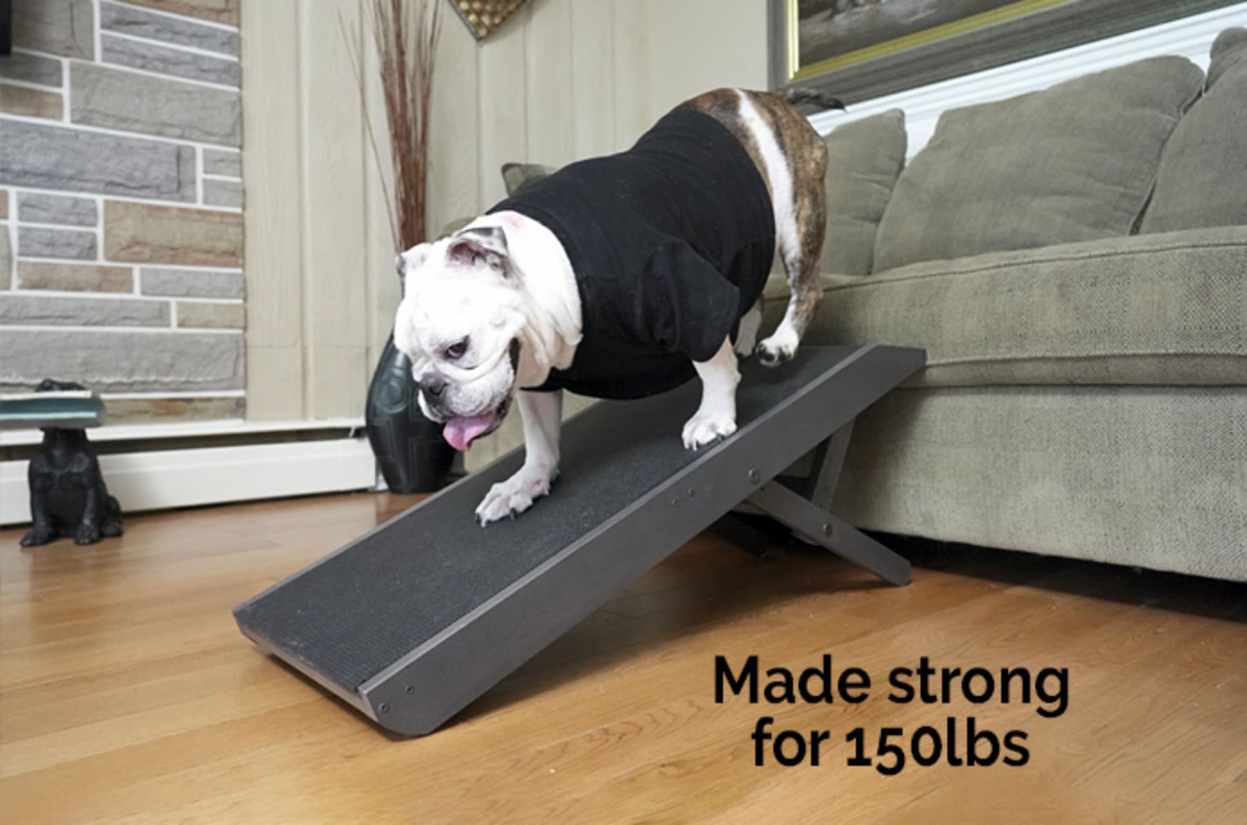 Indiegogo cheap dog ramp