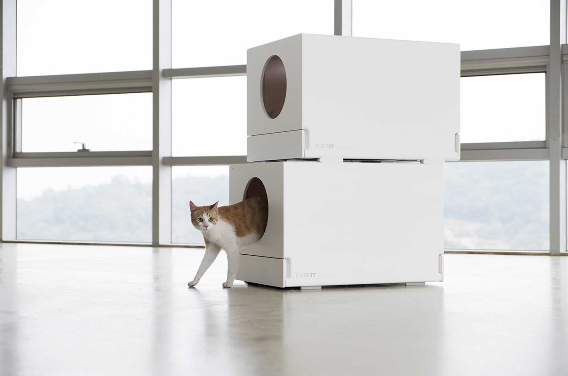 Biggest cat litter box new arrivals