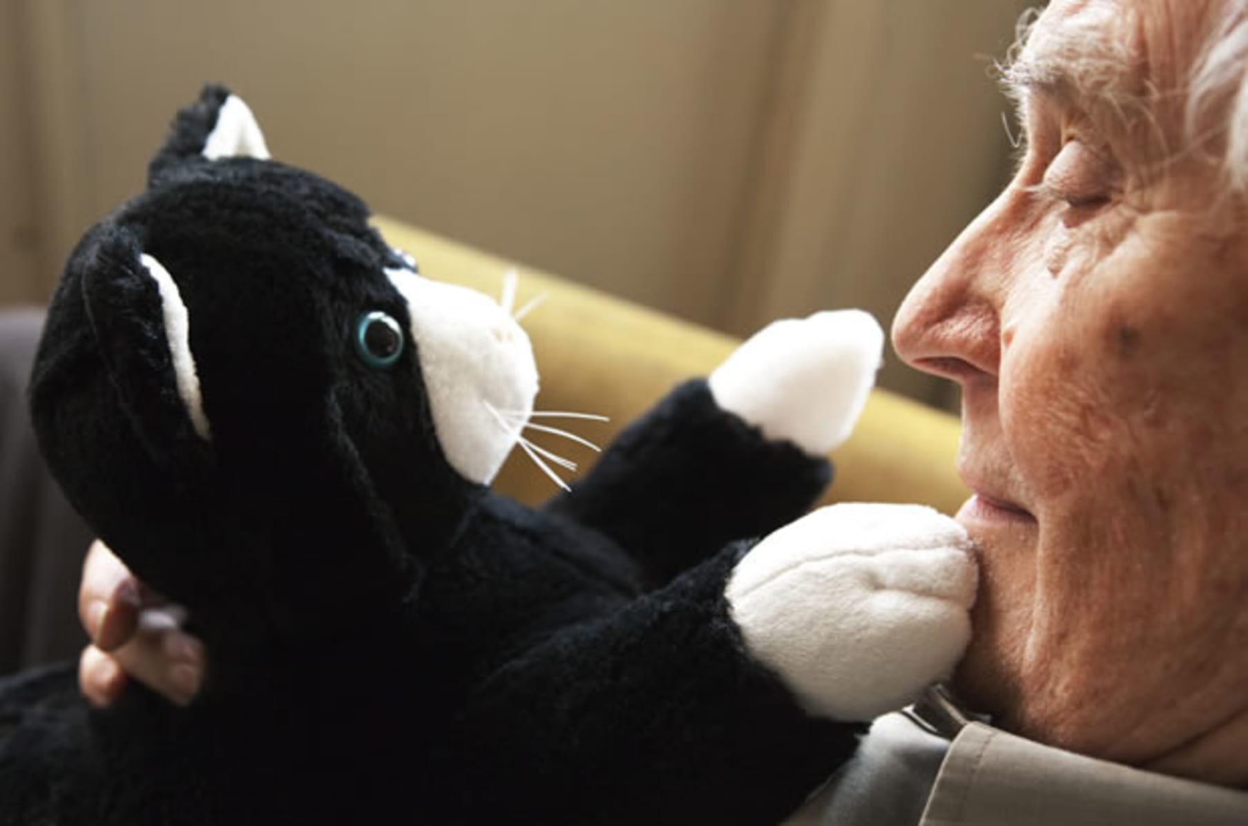 99 Cats Helping Dementia Patients In The Uk Indiegogo