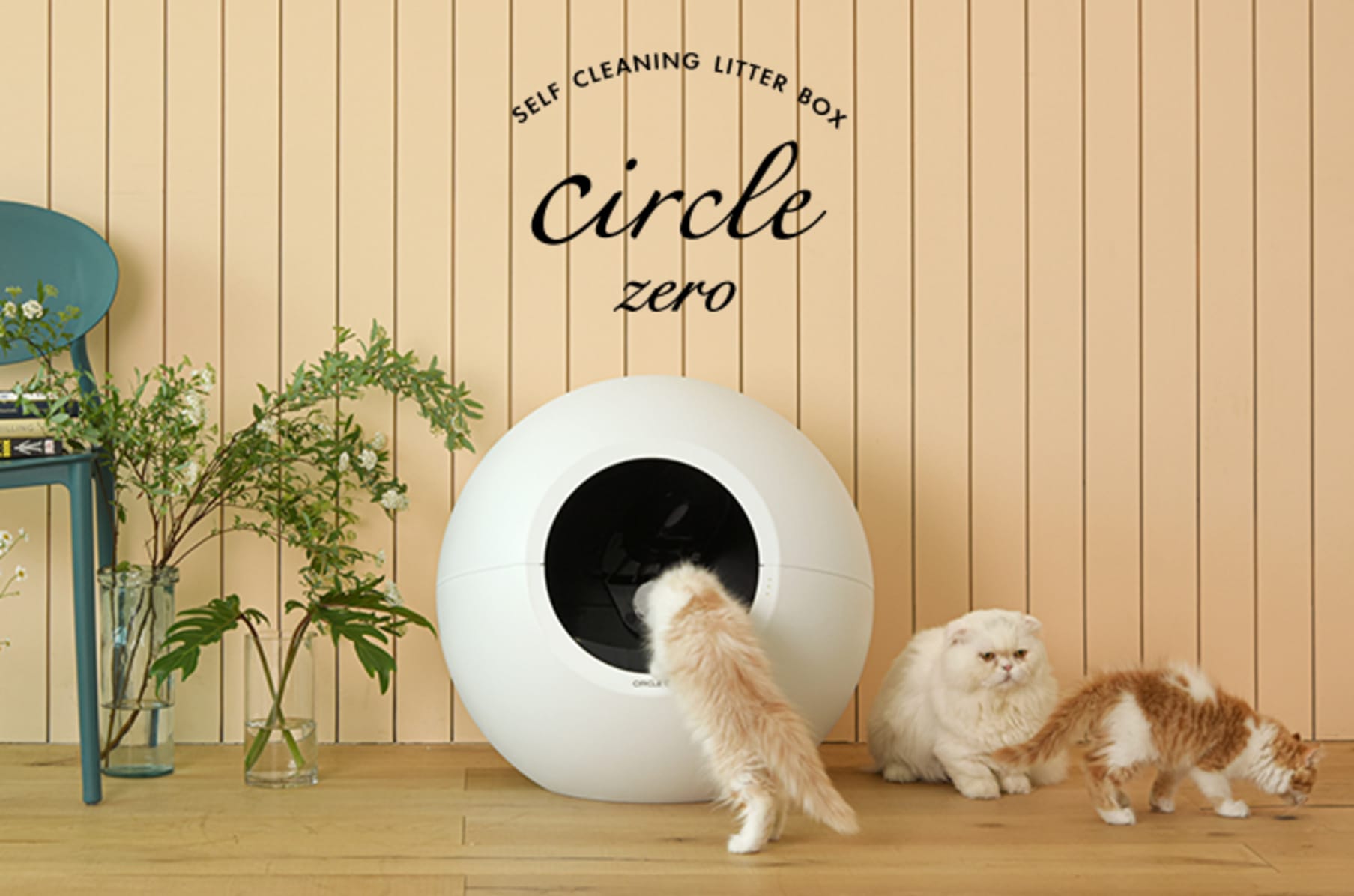 Circle zero best sale litter box