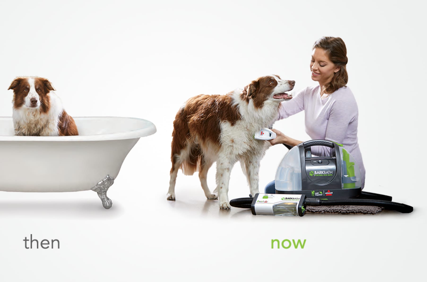 Bissell bark cheap bath tool
