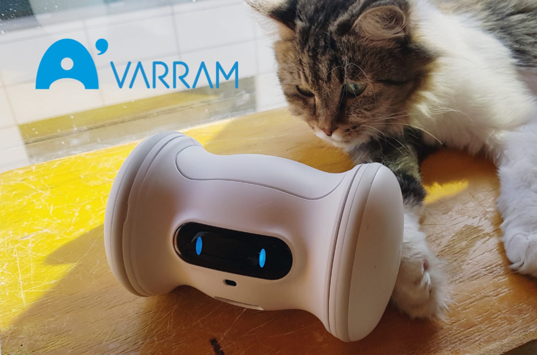 A Smart Robot For Your Pet - VARRAM |