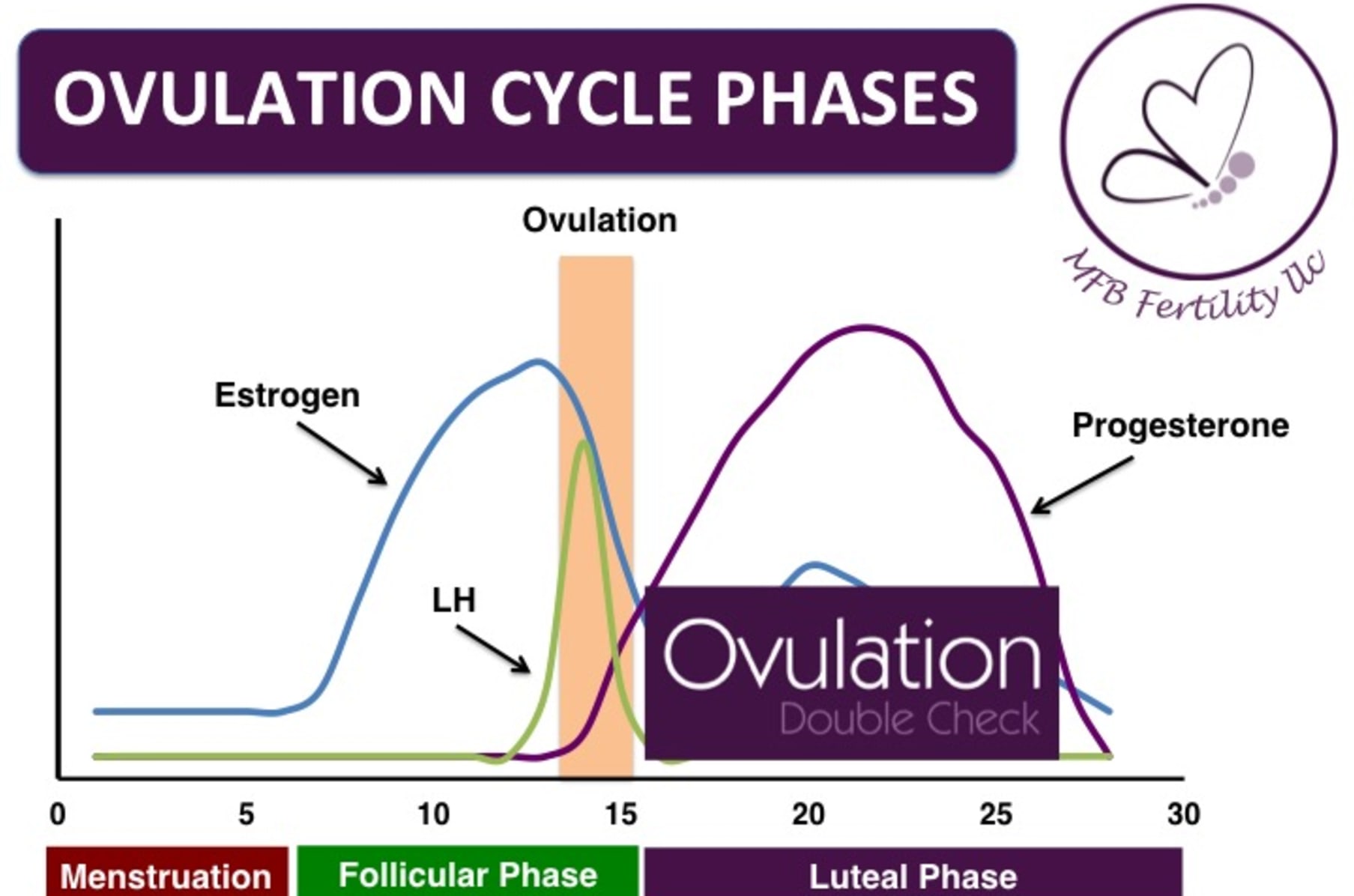 At Home Ovulation Double Check Test Indiegogo