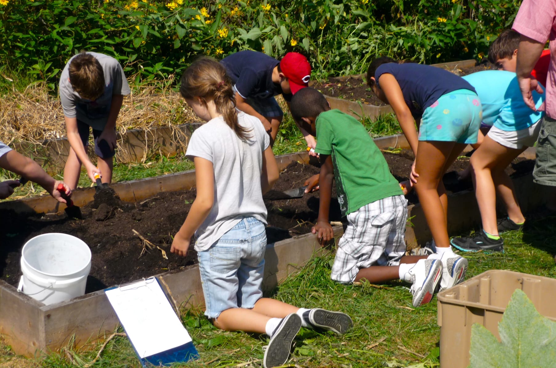 We Need A Backyard Growers Headquarters Indiegogo