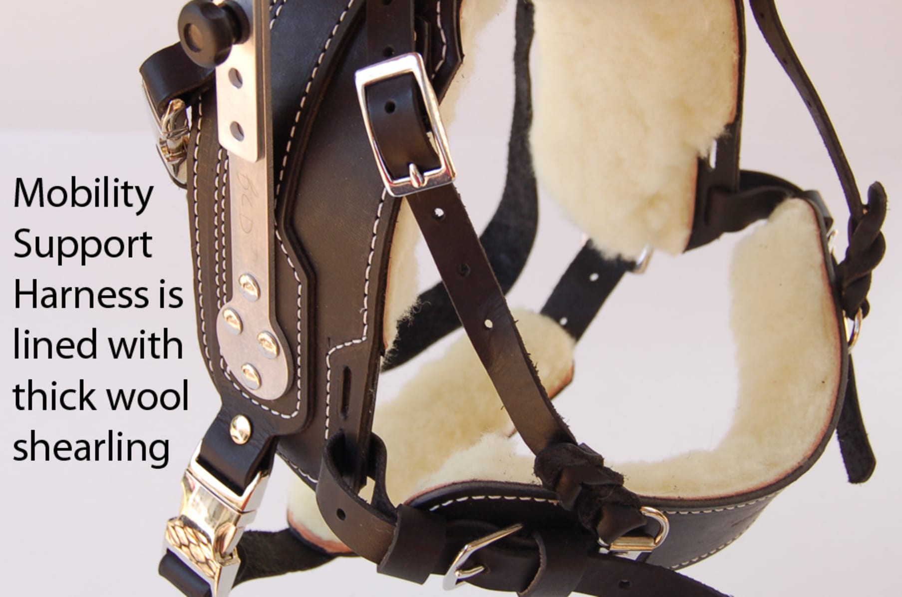 Service Dog Harness For Team Nina Indiegogo