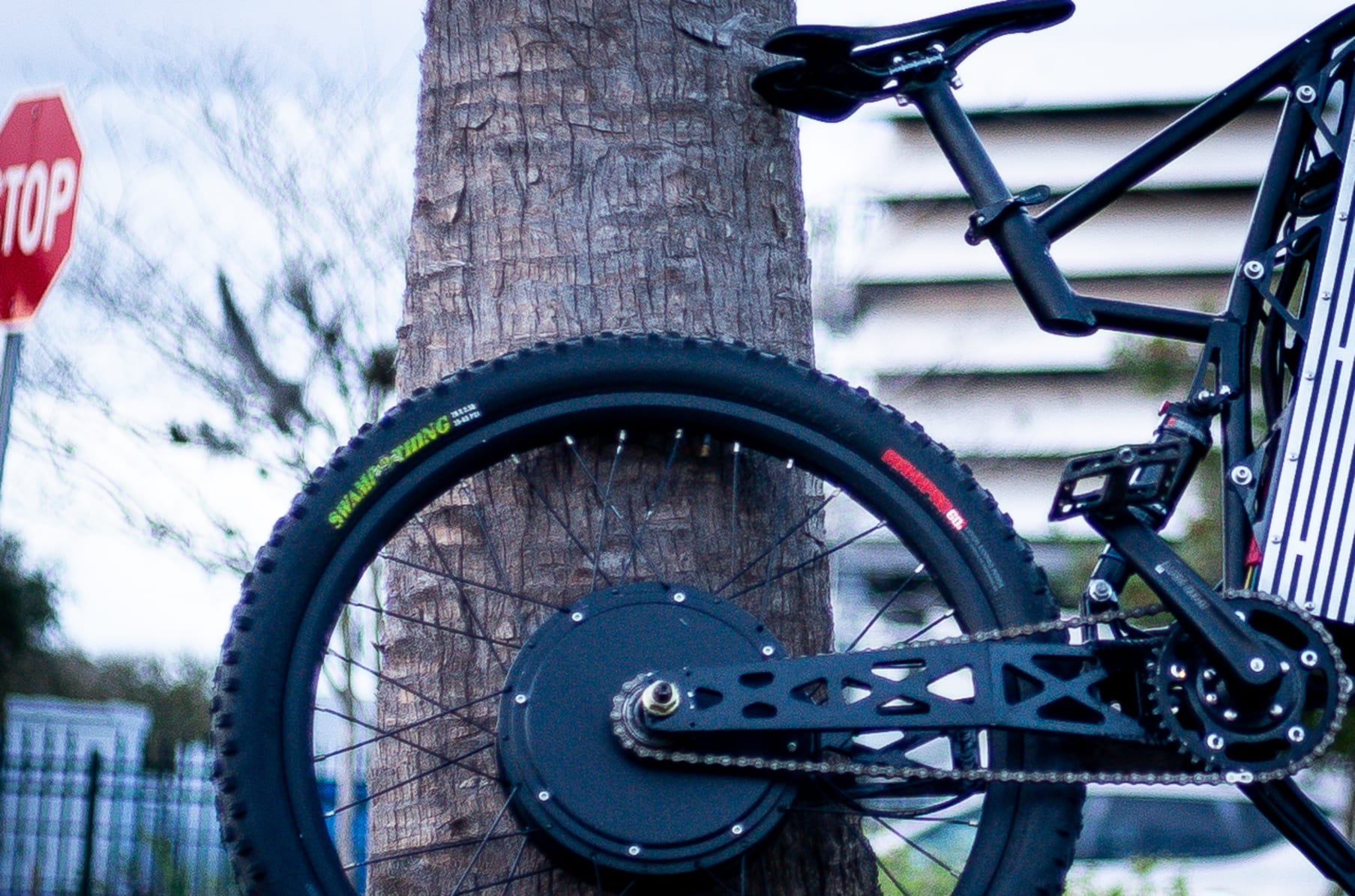 Reva shop electric bike
