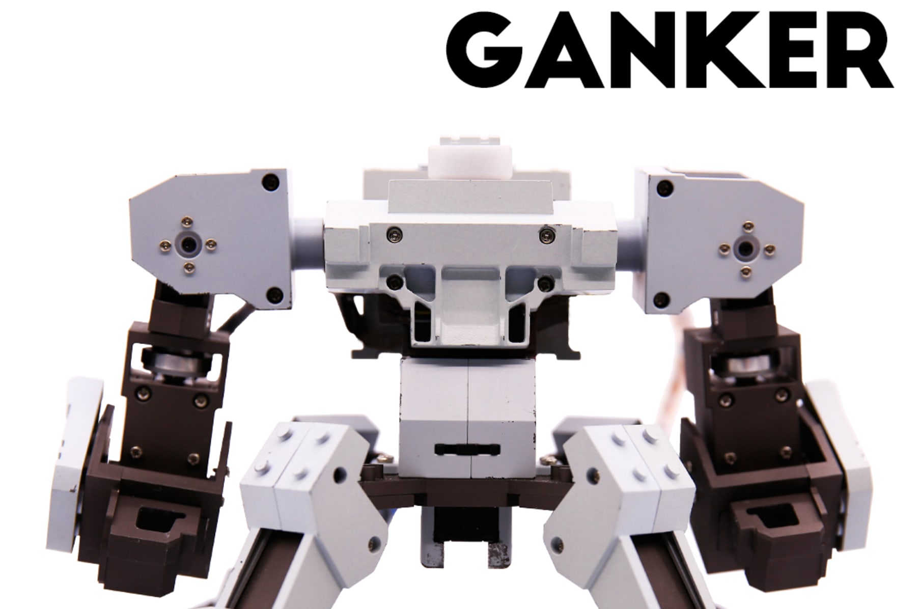 Ganker cheap fighting robots