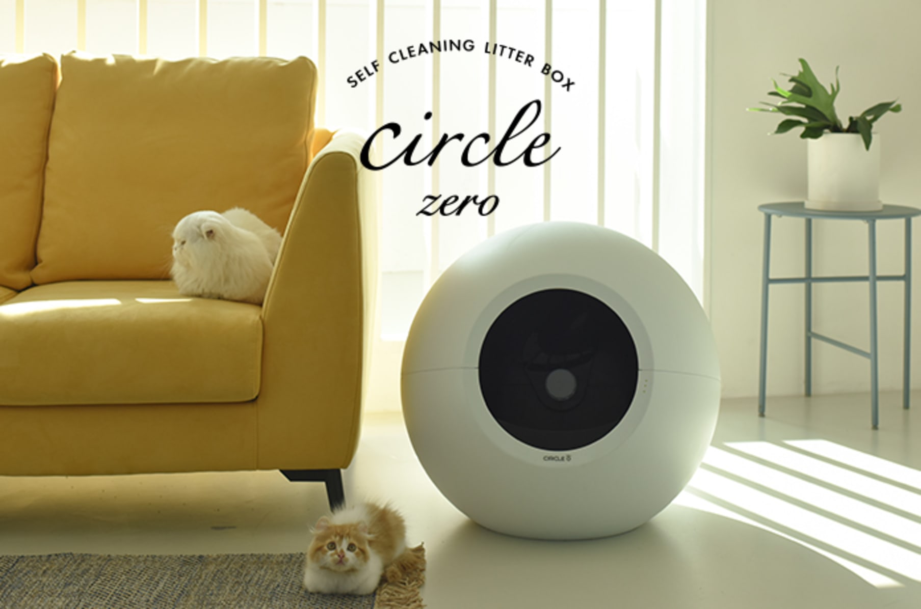 Circle store litter box