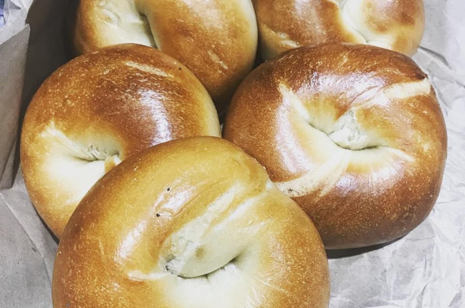 Jersey Bagels Indiegogo