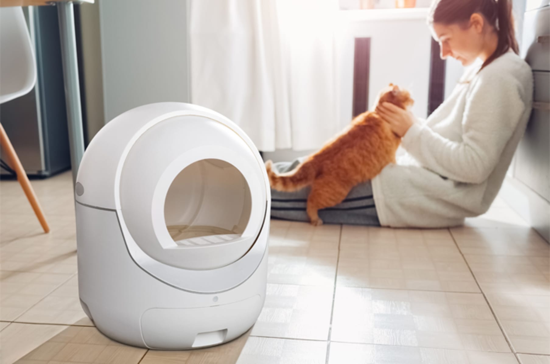 Igloo Reinvent Affordable Auto Cat Litter Box Indiegogo