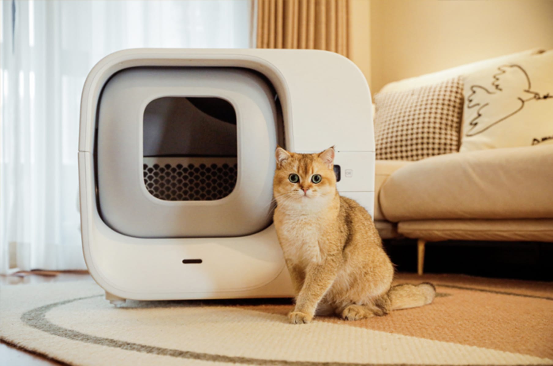Automatic cat litter box refills discount