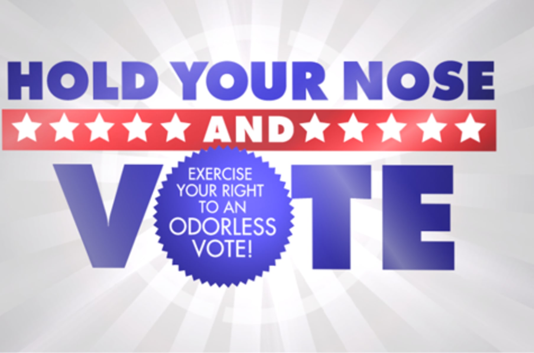 Hold Your Nose and Vote | Indiegogo