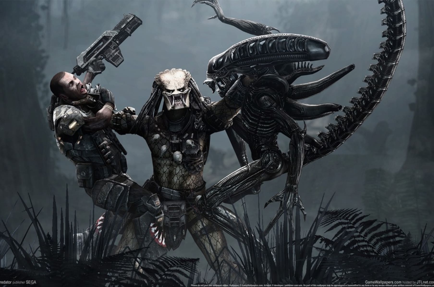 Aliens Xenomorph King Queen Predators Hybrids