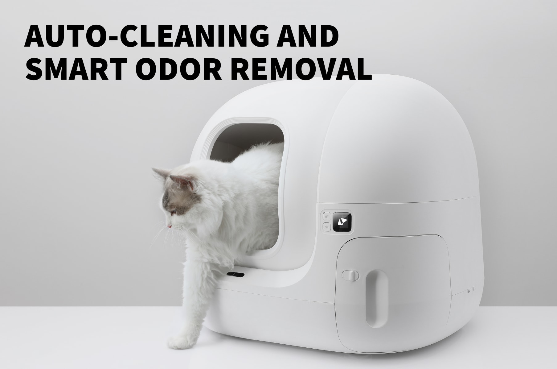 Automatic cat potty sales