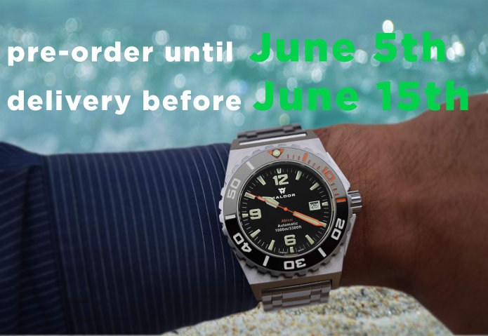 Haldor watch hot sale