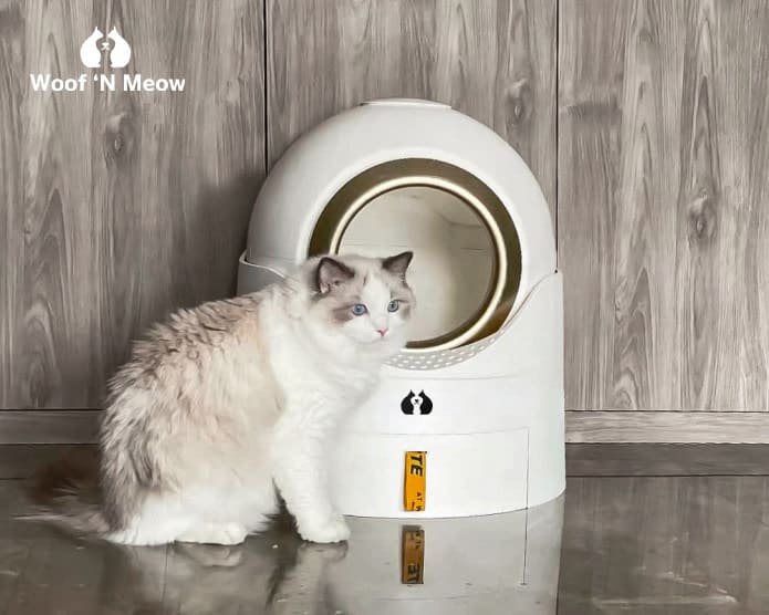 Woof N Meow The Smart Semi auto Litter Box Indiegogo