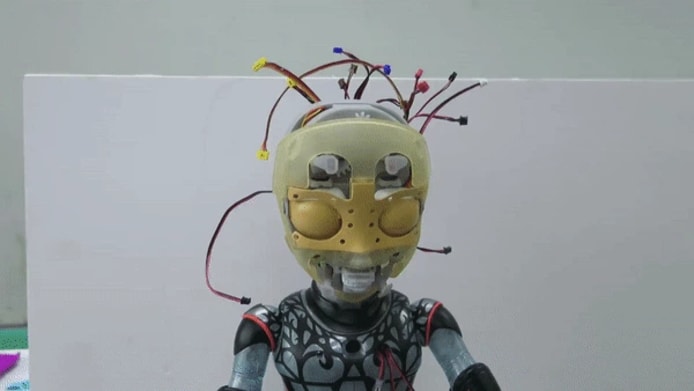 Hanson Robotics Sophia Price Little Sophia The Robot Sofia Hanson