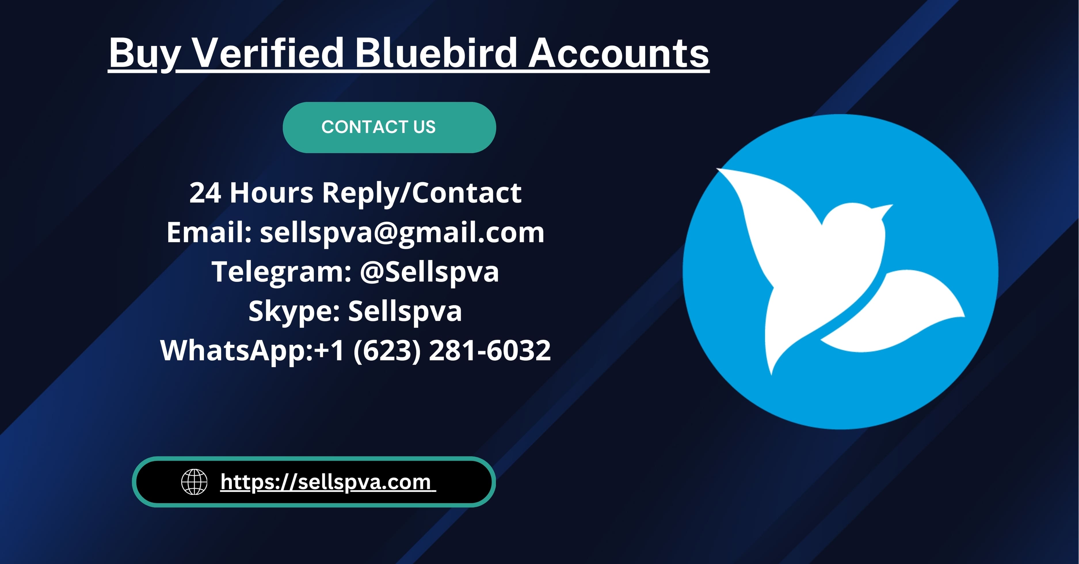 Buy Verified Bluebird Accounts: Secure Your Social Presence Today