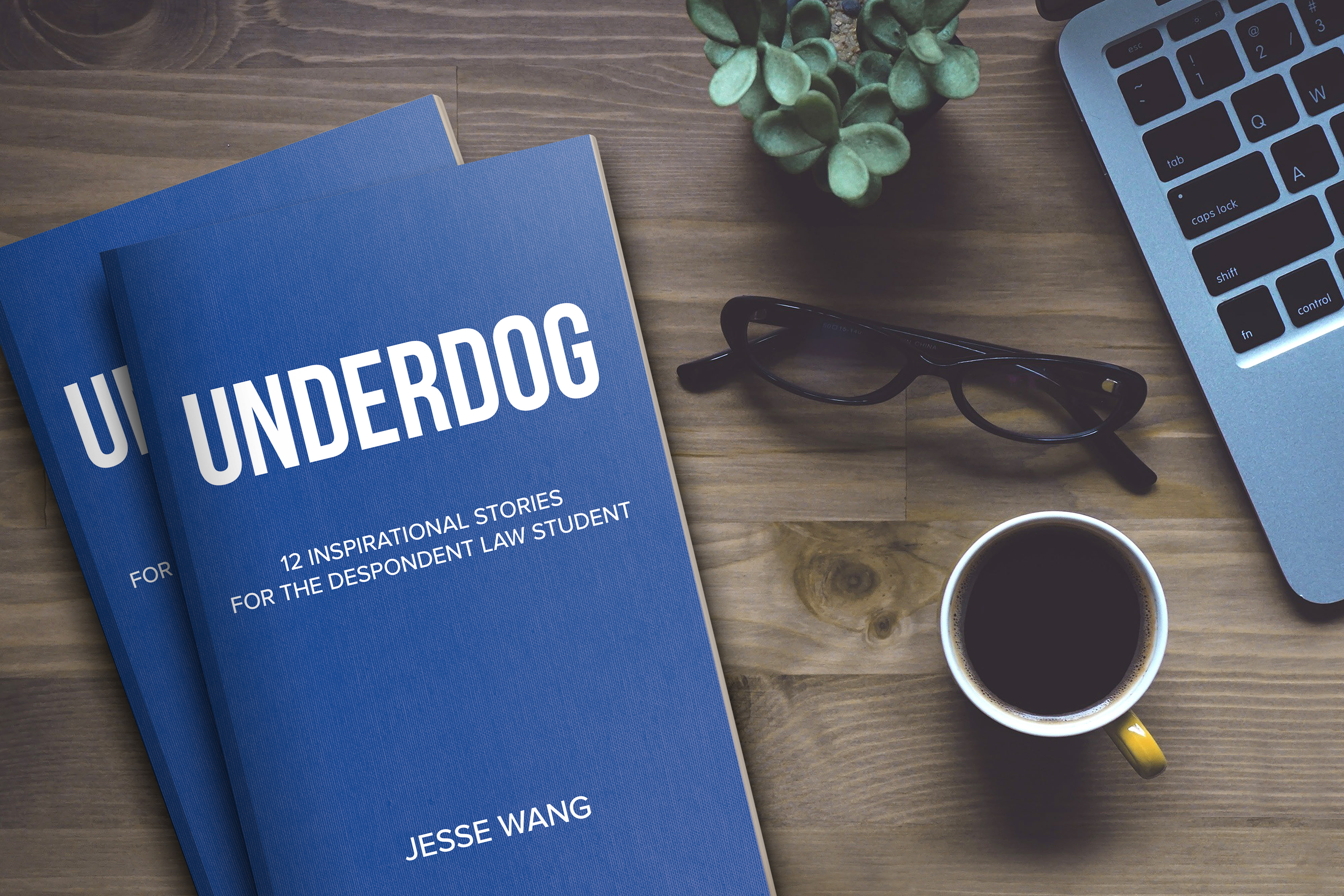 Underdog By Jesse Wang Indiegogo And not every underdog has the chance of becoming a champion, or a superstar, or an inspirational story that will get passed along for generations to come. underdog by jesse wang indiegogo