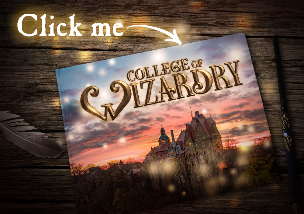 Save College Of Wizardry Indiegogo