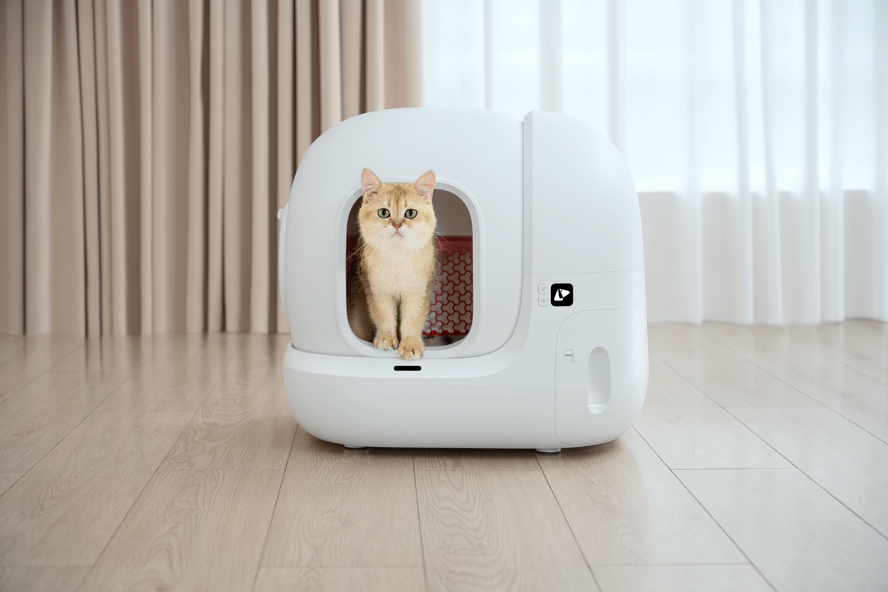 Best cat litter box outlet 2019
