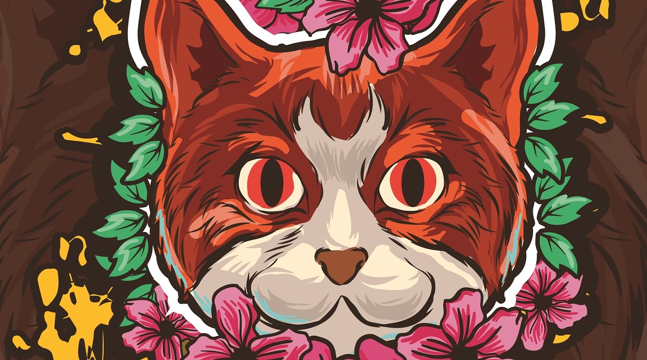 Spirit Animals Oracle Cards To Guide Inspire You Indiegogo