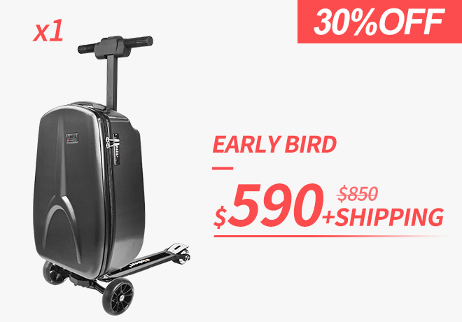 iubest scooter luggage