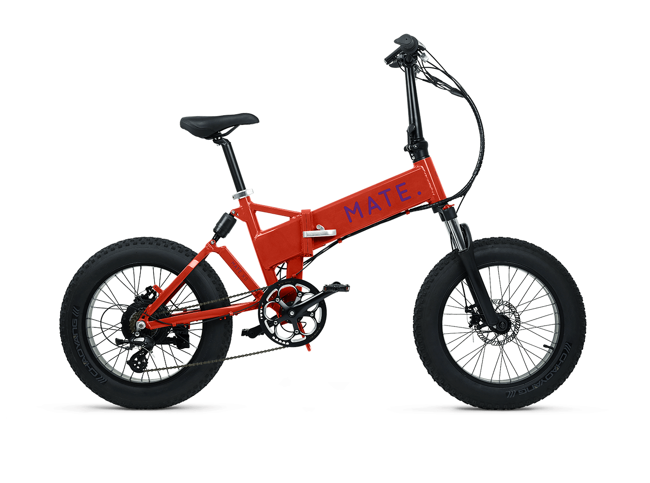 rohloff belt drive