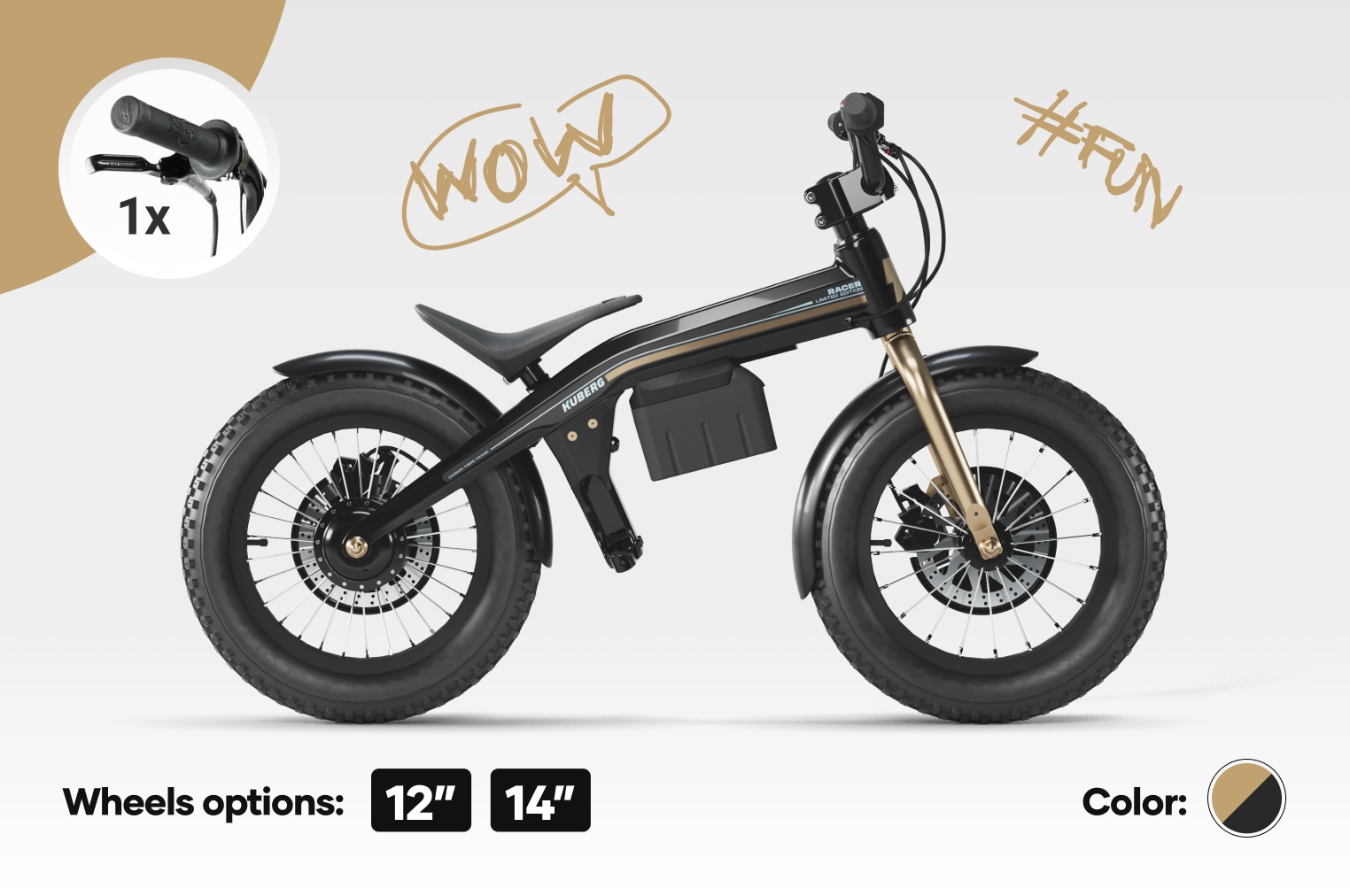 Rad racer electric outlet bike