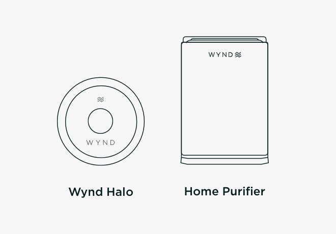Wynd halo top