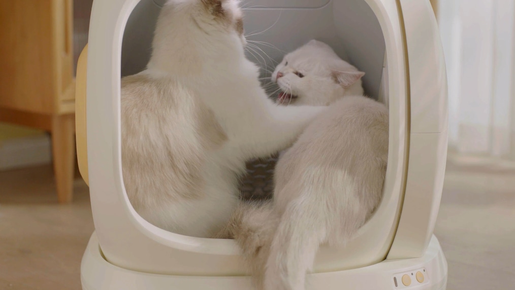 C20 Smart Cat Litter Box with Spacious Entrance Indiegogo