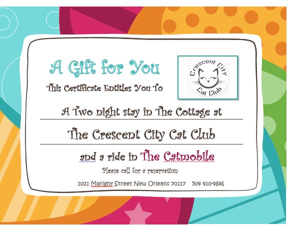 Opening The Crescent City Cat Club Indiegogo